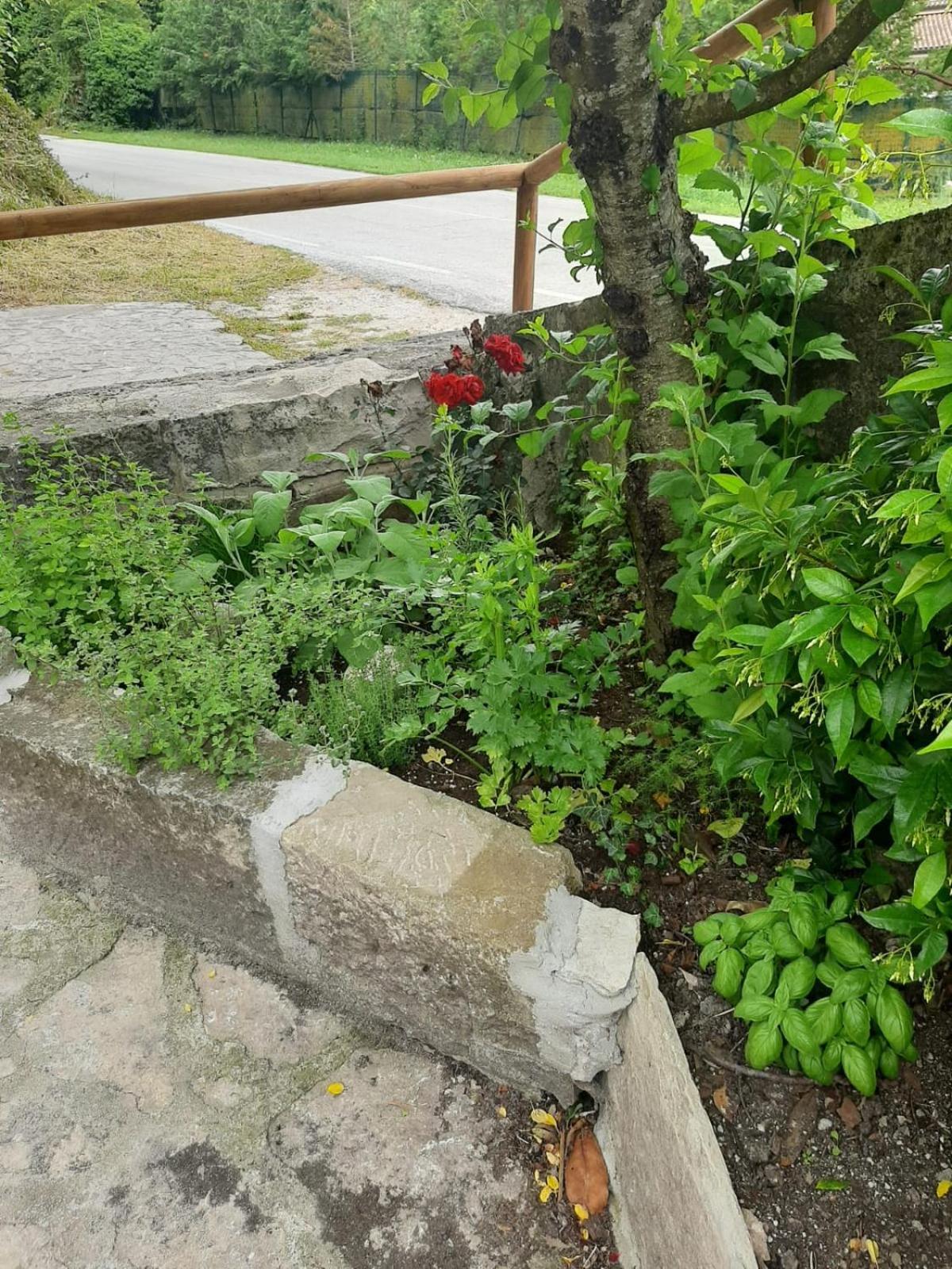 Il Caminetto Apartment Carpinone Exterior foto